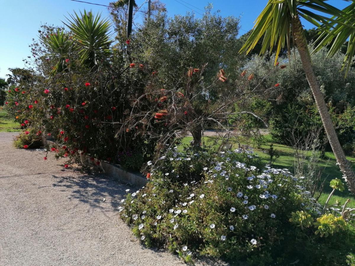 Il Patio Alghero Santa Maria la Palma Exterior photo